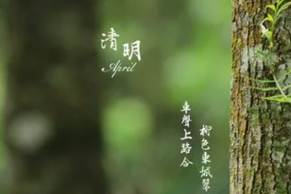 10首清明节的古诗五言绝句