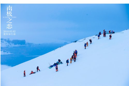 《南极之恋》是在南极实地拍摄的吗？