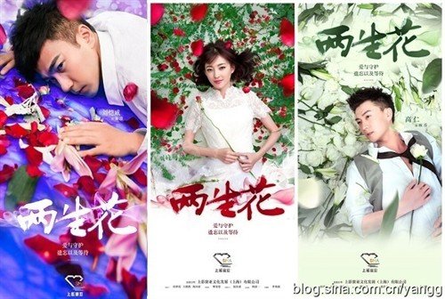 一两江湖之两生花的内容简介