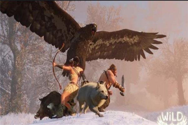 老鹰和大雕的区别是什么