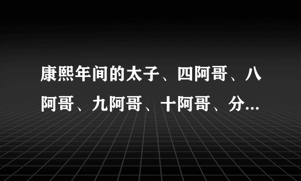 康熙年间的太子、四阿哥、八阿哥、九阿哥、十阿哥、分别叫什么啊？