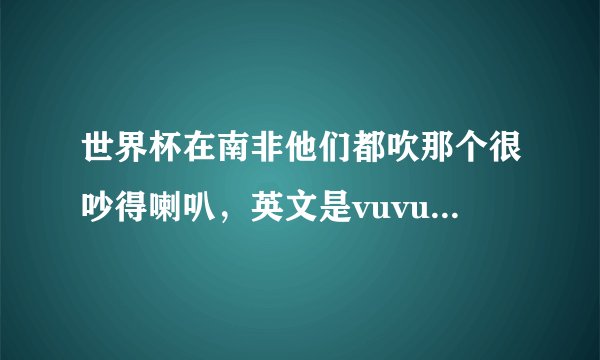 世界杯在南非他们都吹那个很吵得喇叭，英文是vuvuzela. 中文怎么说？