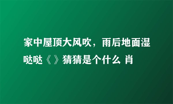 家中屋顶大风吹，雨后地面湿哒哒《》猜猜是个什么 肖