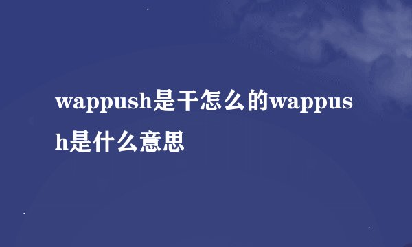 wappush是干怎么的wappush是什么意思