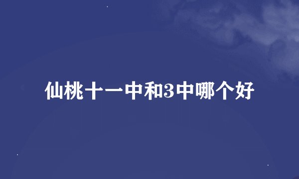 仙桃十一中和3中哪个好