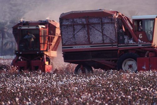 变形金刚摘棉花，机器操作更快，为什么人工越来越少了？