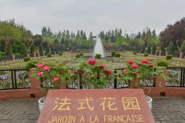 洛阳哪个牡丹园最好？