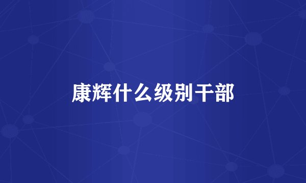 康辉什么级别干部