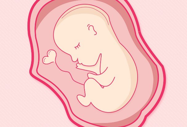 广东广州，妻子分娩去世丈夫欲取冷冻胚胎遭拒，法院最终是如何判决的？