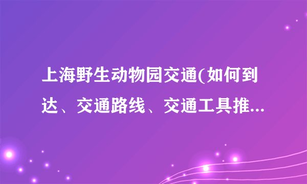 上海野生动物园交通(如何到达、交通路线、交通工具推荐等详细指南)