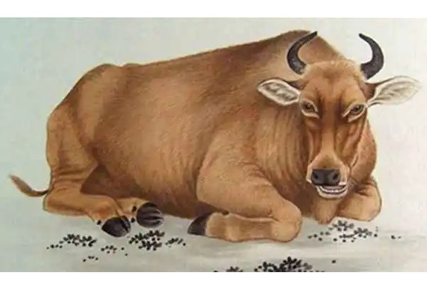 2023.9.6.卸磨杀驴打一生肖