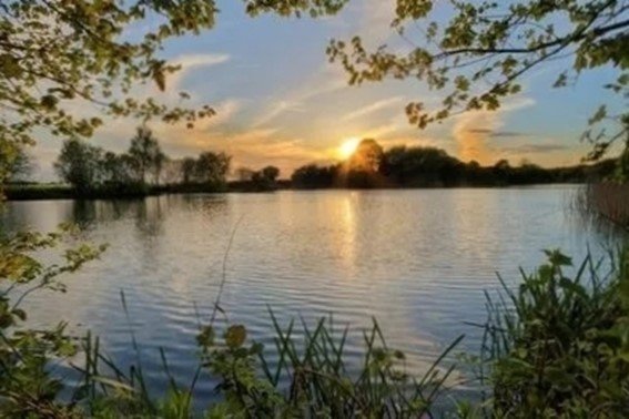 别具一格的意思