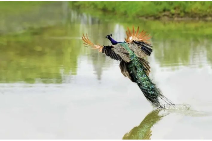 中国最早的叙事诗是