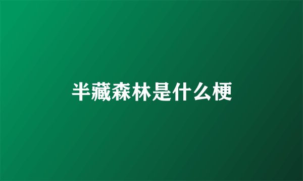 半藏森林是什么梗