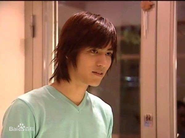 如何评价《流星花园》这部电视剧？