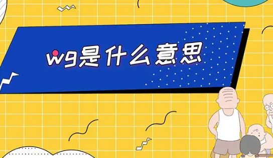 wkg什么意思？