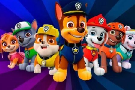 汪汪队里一共有几只狗？