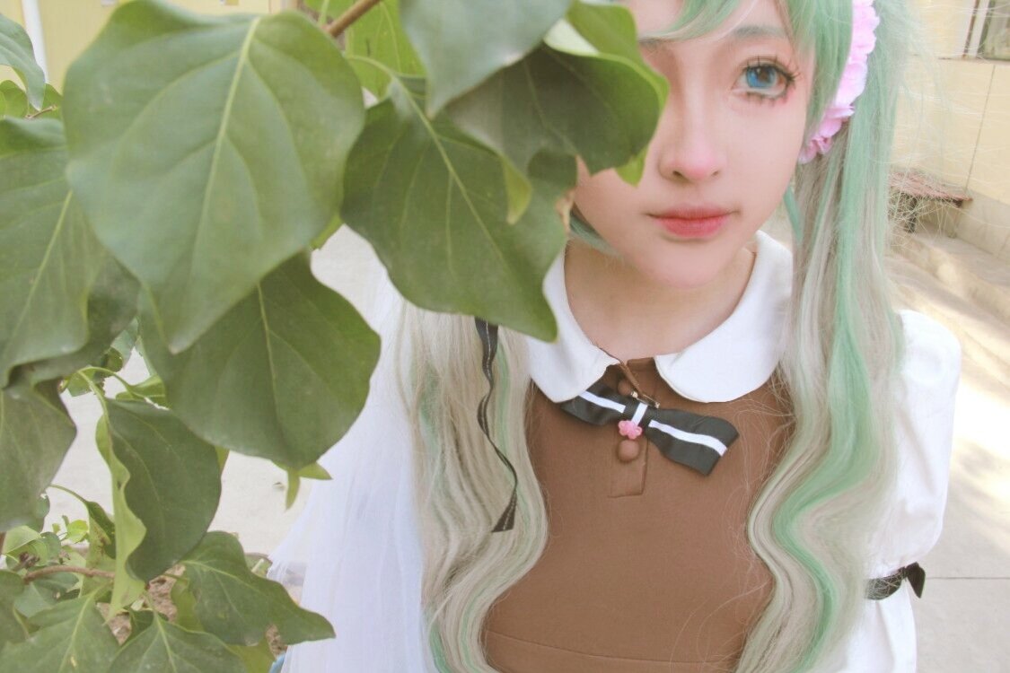 初音未来 从头到尾都是 喵喵喵的 是什么歌？