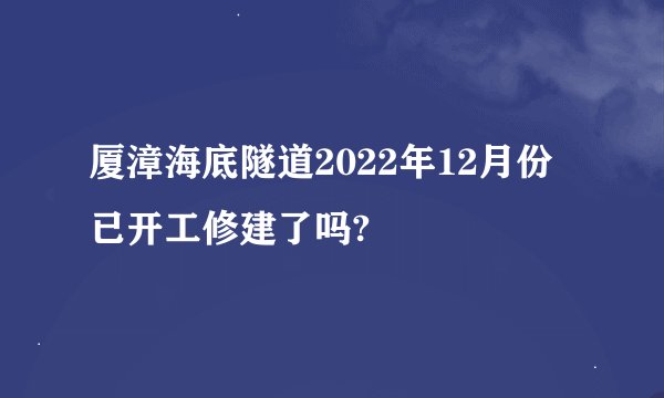 厦漳海底隧道2022年12月份已开工修建了吗?