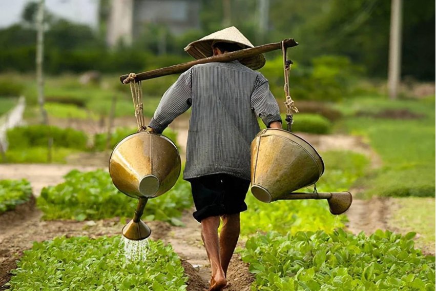 二年级露着造句说一句话