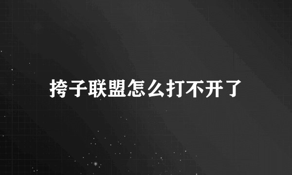 挎子联盟怎么打不开了