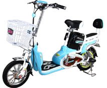 我想买个电动车，不知道什么品牌的质量好啊，我看了几个，比如，新日，雅迪，立马，澳柯玛，哪个好？？