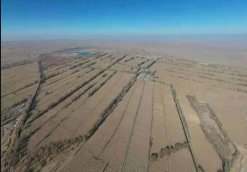 人民日报评敦煌防护林被毁，这具体是怎么回事？