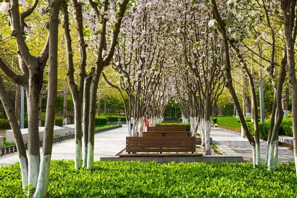 广州大学有几个校区?