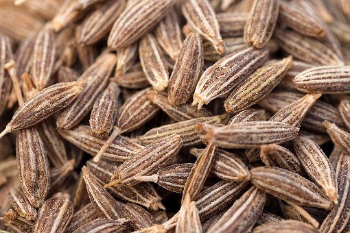 猜猜以下哪个是胡萝卜的亲戚