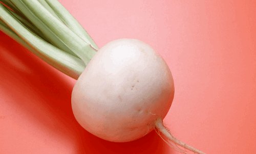 熊猫最爱吃的10种食物