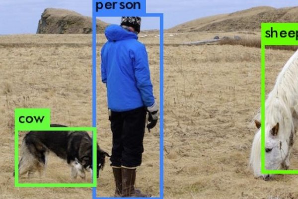 obj中文是什么意思