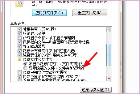 手机里appdata是什么意思啊？