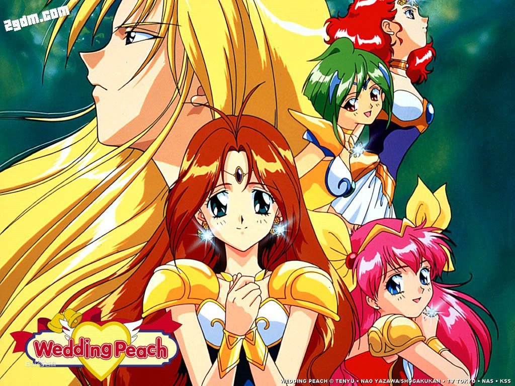 爱天使传说的介绍