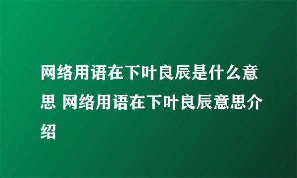 网络用语在下叶良辰是什么意思 网络用语在下叶良辰意思介绍