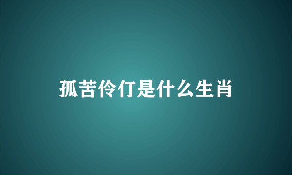 孤苦伶仃是什么生肖