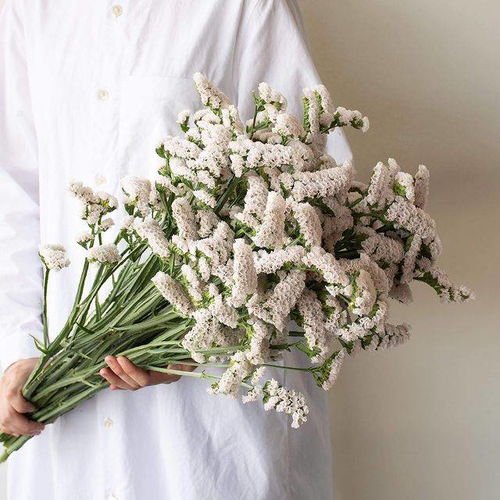 长沙医学院学生给逝者送去鲜花，给逝者送哀悼鲜花要注意哪几点讲究？