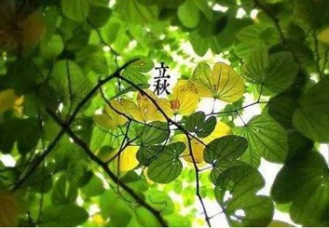 古诗 《立秋》的意思是什么