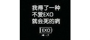 EXO是什么意思