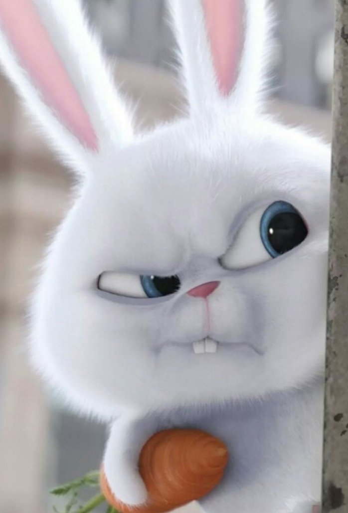 十只兔子那个凶杀案谁是凶手阿！