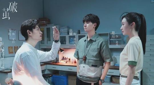 网剧《破茧》是由哪些演员主演的，这部作品的导演是谁？