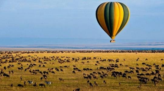 关于热气球的资料