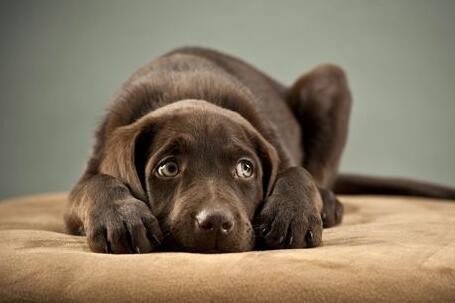 余悸的意思是什么