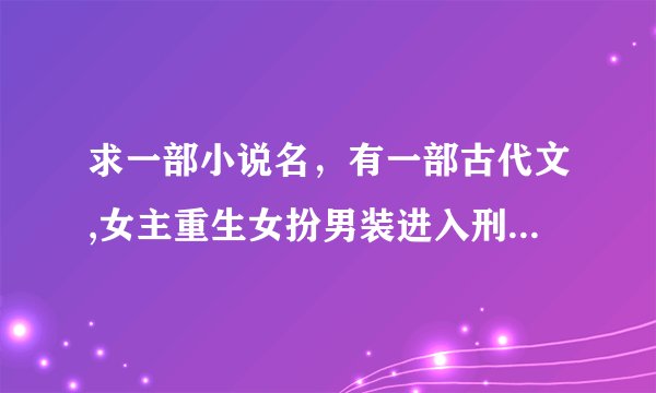 求一部小说名，有一部古代文,女主重生女扮男装进入刑部查案，过程中得到丞相帮助，最后和丞相在一起了。