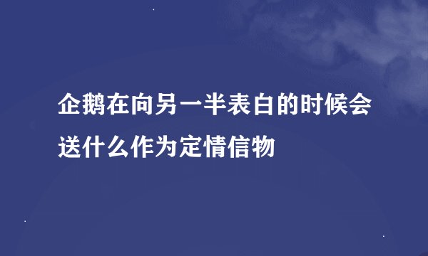 企鹅在向另一半表白的时候会送什么作为定情信物