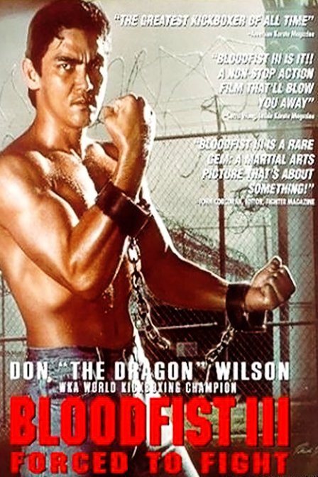 龙拳3的操作指南