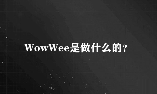 WowWee是做什么的？