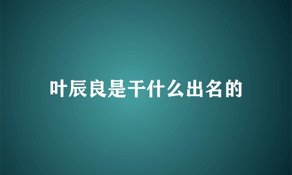 叶辰良是干什么出名的