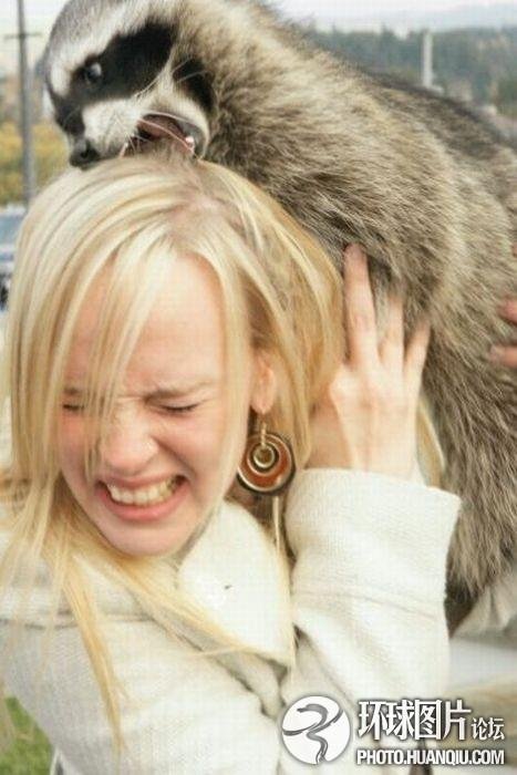 拳脚之路的内容简介