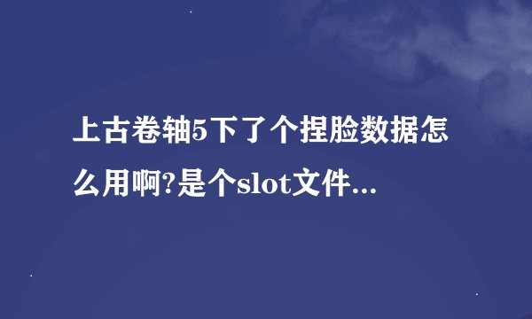 上古卷轴5下了个捏脸数据怎么用啊?是个slot文件求大神解答