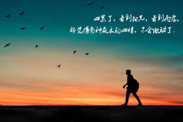 爱了你却伤了我自己是什么歌